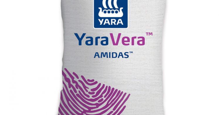 YaraVera AMIDAS